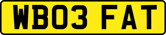 WB03FAT