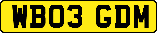 WB03GDM