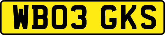 WB03GKS