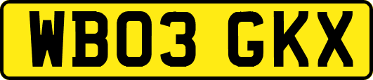 WB03GKX