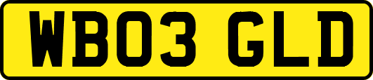 WB03GLD
