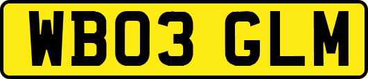 WB03GLM