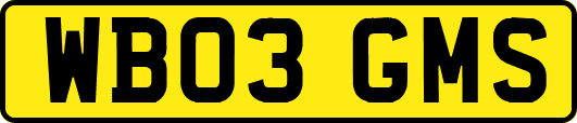 WB03GMS