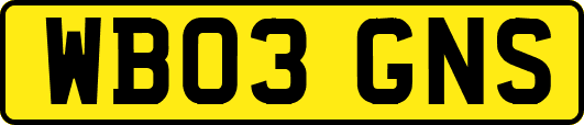 WB03GNS