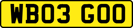 WB03GOO