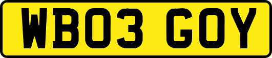 WB03GOY