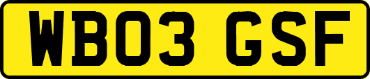 WB03GSF