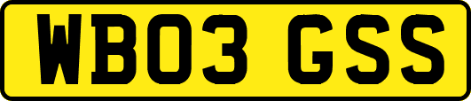 WB03GSS