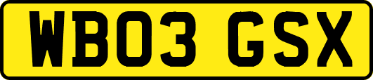 WB03GSX