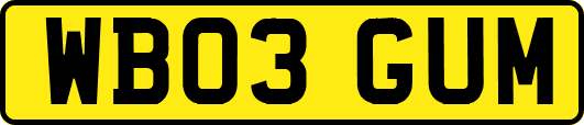 WB03GUM