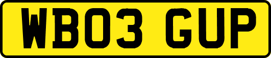 WB03GUP