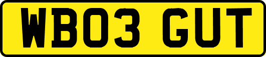 WB03GUT