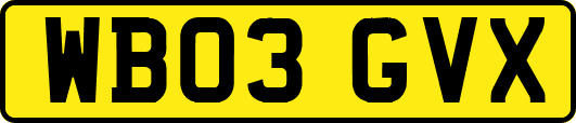 WB03GVX