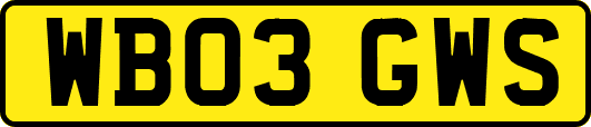 WB03GWS