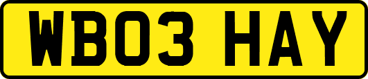 WB03HAY