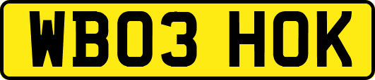 WB03HOK