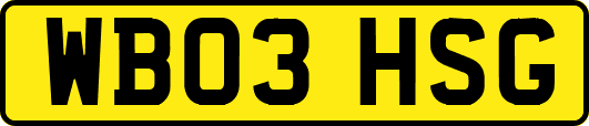 WB03HSG