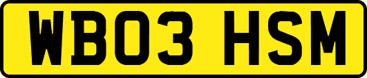 WB03HSM