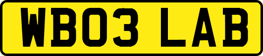 WB03LAB