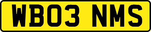 WB03NMS