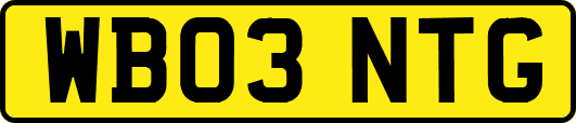 WB03NTG