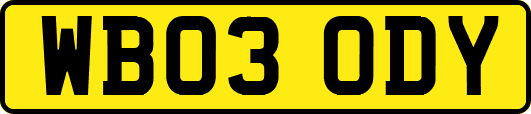 WB03ODY
