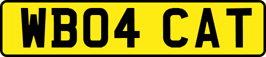 WB04CAT