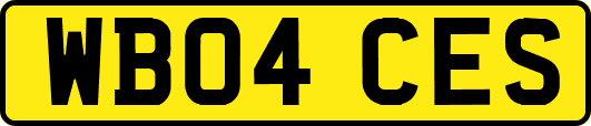 WB04CES