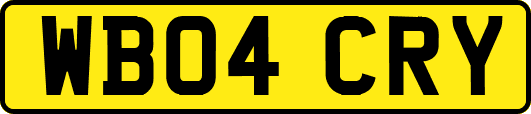 WB04CRY