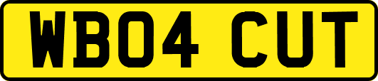 WB04CUT