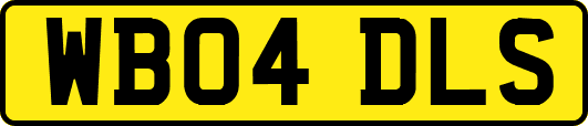 WB04DLS