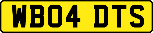 WB04DTS