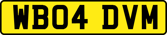 WB04DVM