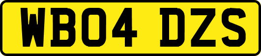 WB04DZS