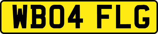 WB04FLG