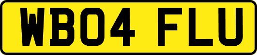 WB04FLU