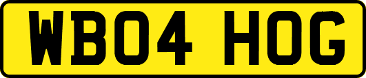 WB04HOG