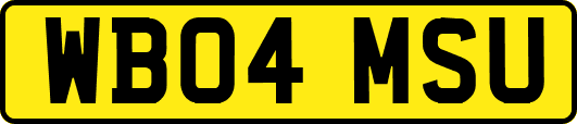 WB04MSU