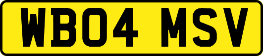 WB04MSV