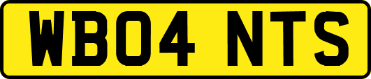WB04NTS