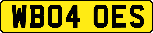 WB04OES