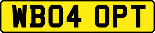 WB04OPT