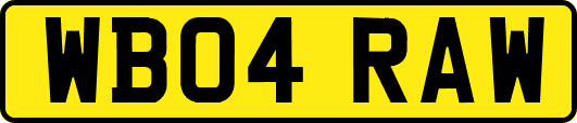 WB04RAW