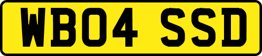 WB04SSD