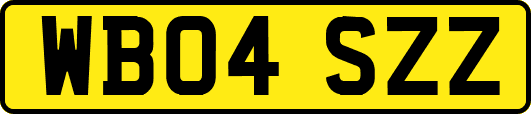 WB04SZZ