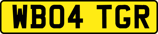 WB04TGR
