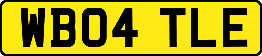 WB04TLE