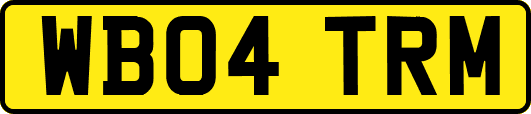 WB04TRM