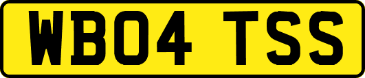 WB04TSS
