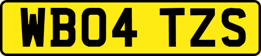 WB04TZS
